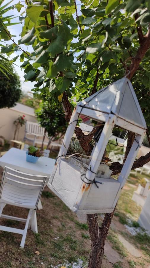 Casa Vacanze 올비아 외부 사진